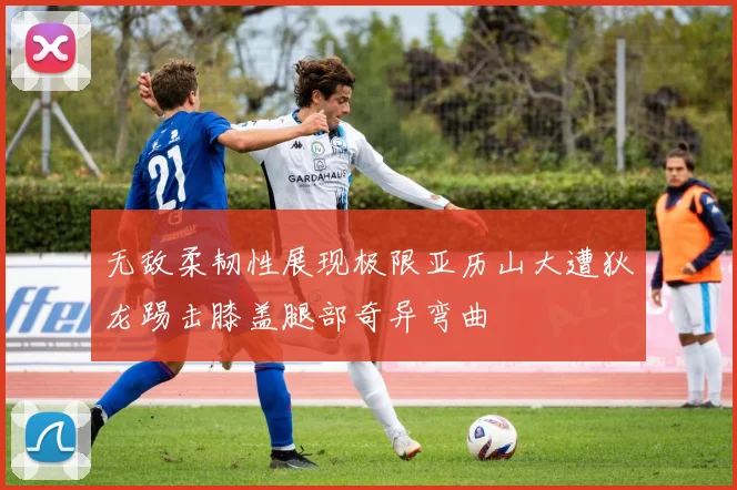 无敌柔韧性展现极限亚历山大遭狄龙踢击膝盖腿部奇异弯曲