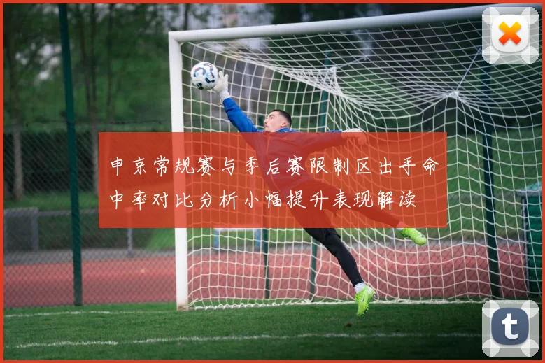申京常规赛与季后赛限制区出手命中率对比分析小幅提升表现解读